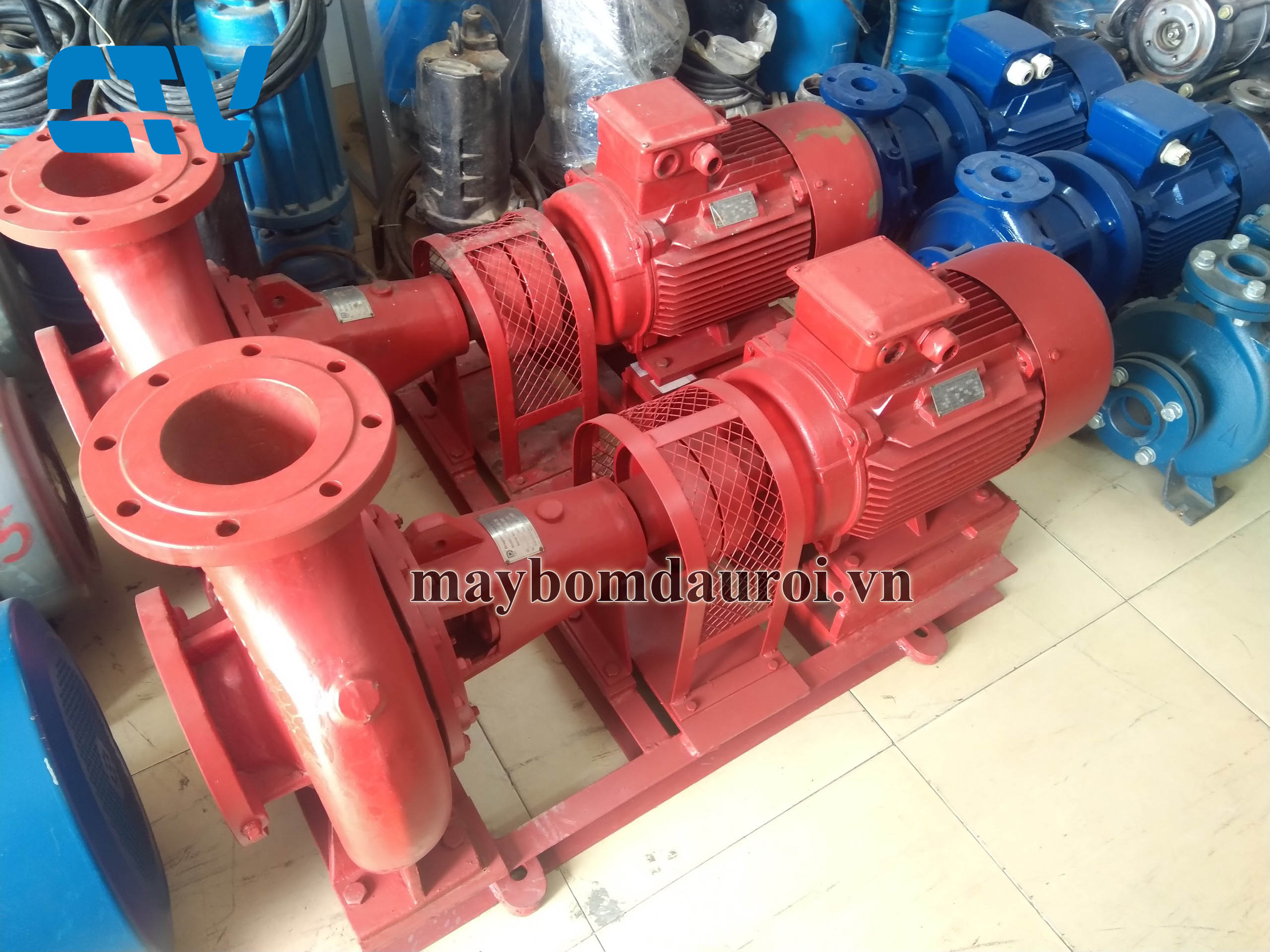 Máy Bơm Nhật Bãi Trục Rời Lưu Lượng Lớn