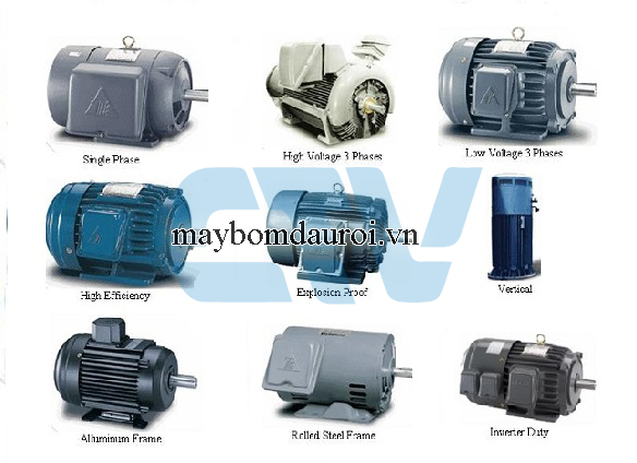 Động cơ máy bơm nước Teco