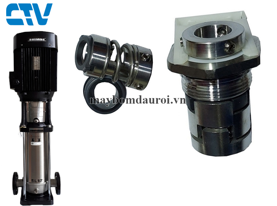 Phớt máy bơm, phớt trục đứng Shimge BL 2 - 22