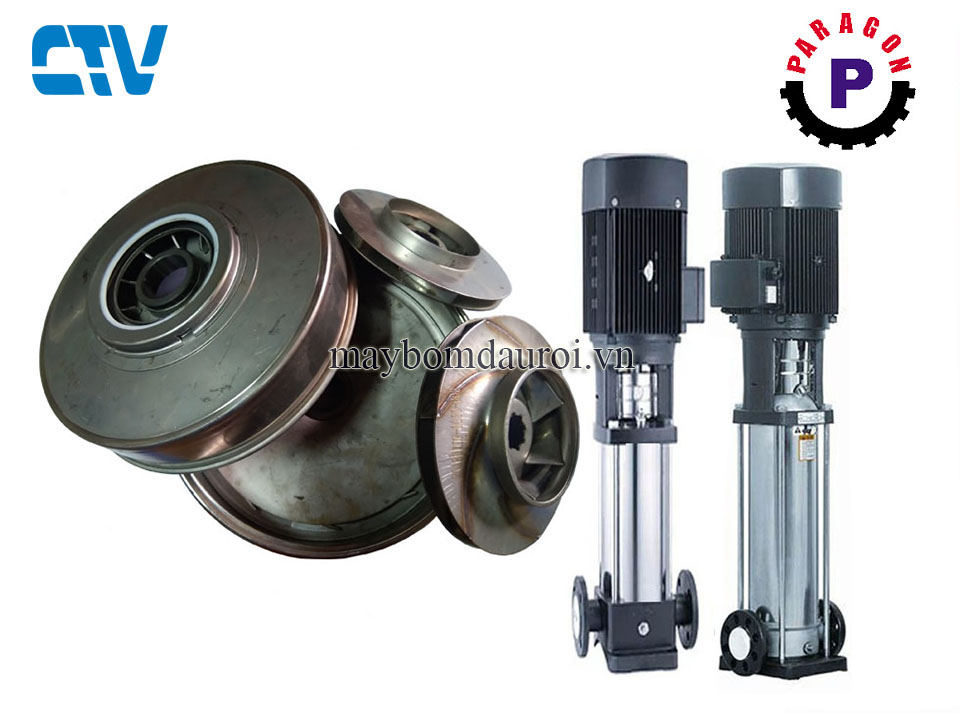 Ruột buồng bơm ly tâm trục đứng Paragon PV20-100